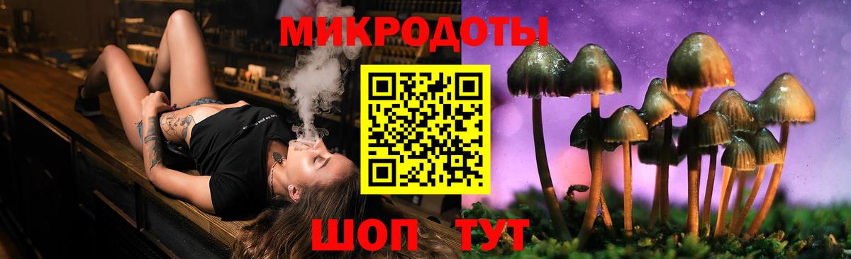 Галлюциногенные грибы Psilocybe Урай